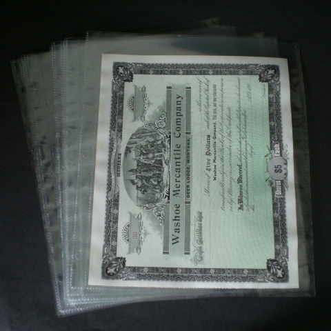Supersafe 1-Pocket Polypropylene Pages (100)